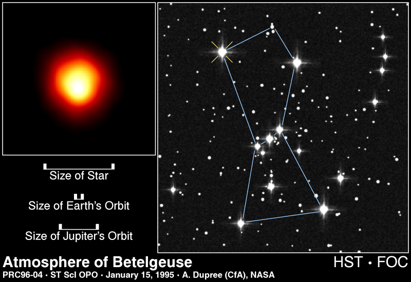 star size comparison gif